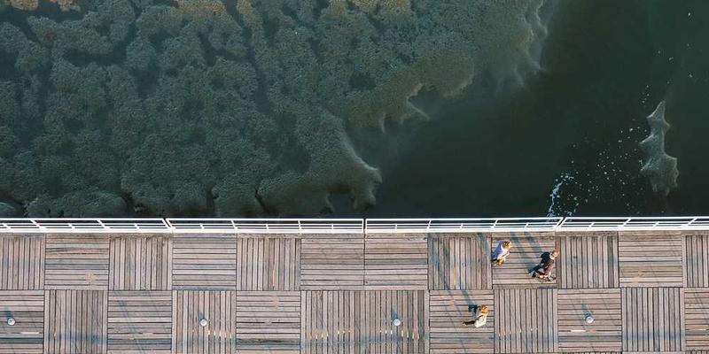 说明：一张展示AI工具图标与版权标记的图片，强调数据来源与版权问题的重要性