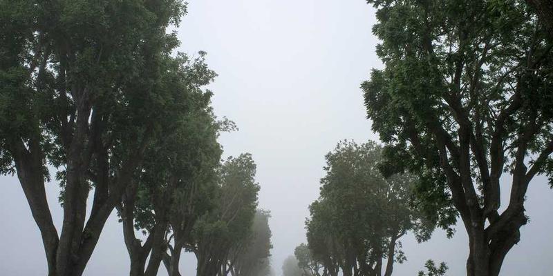 说明：繁忙的都市街头，人们匆匆而过，时间仿佛在加速流逝