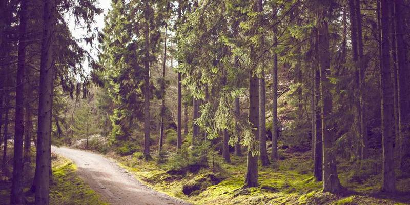 把洗碗时泡沫的生成与破灭，联想为微观世界的恒星诞生与坍缩