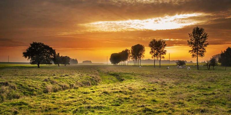 练习“信息禁食”与“信息盛宴”的交替节律,找到个人平衡点