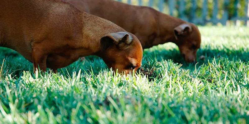 记录“意外之财”与“辛苦所得”在消费时的心理流速差异