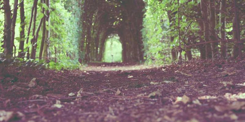 想象将一段不愉快的经历“压缩”成一个密度极高的点,然后将其“发射”到思维之外