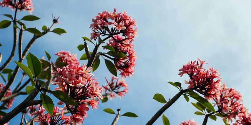 说明:一张展示短视频开头的动态画面,突出黄金三秒的视觉焦点