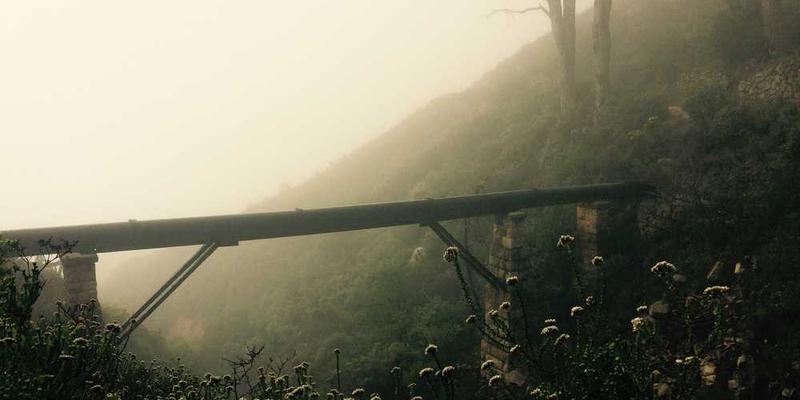 一张精美的摆盘作品,展示多种色彩的食物,形状各异,层次分明,中间点缀着几片香草叶片,营造出一种和谐、自然的氛围。