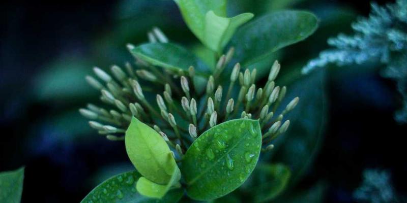 离职时的知识交接艺术:为自己与他人都留下良好资产