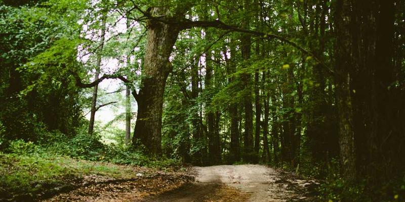 研究“睡眠”这片黑暗自治领,如何屡遭“失眠思潮”的叛乱与割据
