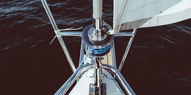 观察“不同学科思维”作为不同的知识物种,在同一宿主体内可能发生的“种间竞争”