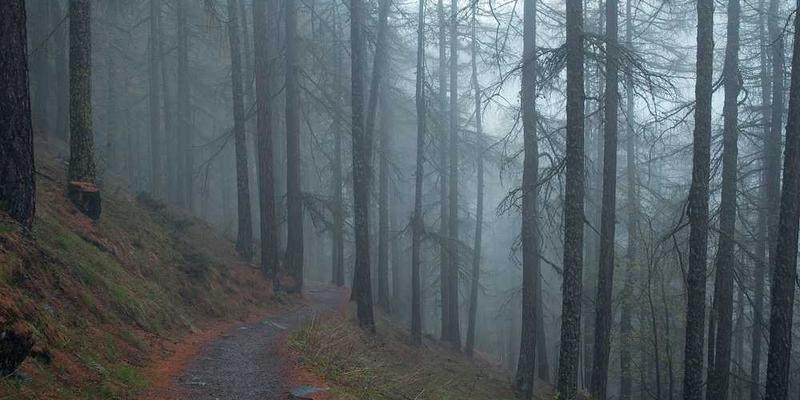 一把精美的锁具，钥匙插入锁孔并旋转，背景为柔和的灯光，呈现出一种温馨而神秘的美感