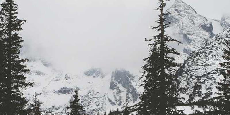 一幅展现城市不同角落的色彩拼贴画,如老城区的古砖红瓦,商业区的霓虹蓝,公园里的翠绿树冠等