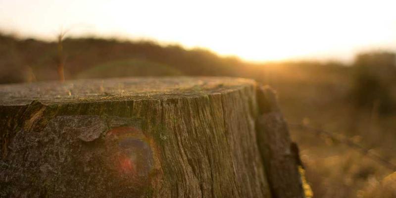 说明：清晨的寺庙，阳光透过窗户洒在佛像上，显得格外宁静