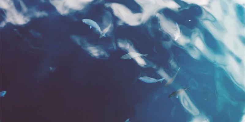 为“冬天起床困难症”设立一个跨学科的(涵盖热力学、社会学、意志论)研究项目