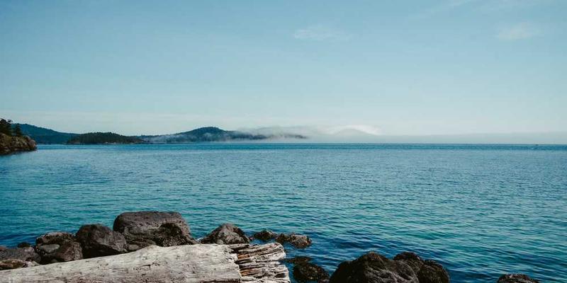 一位年轻人在图书馆阅读书籍，背景是堆满了书籍的书架，象征着信息的收集和分类整理。