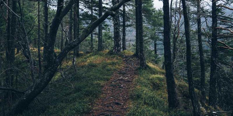 佛罗伦萨中央市场，新鲜食材琳琅满目，摊位上摆满了意大利特色美食