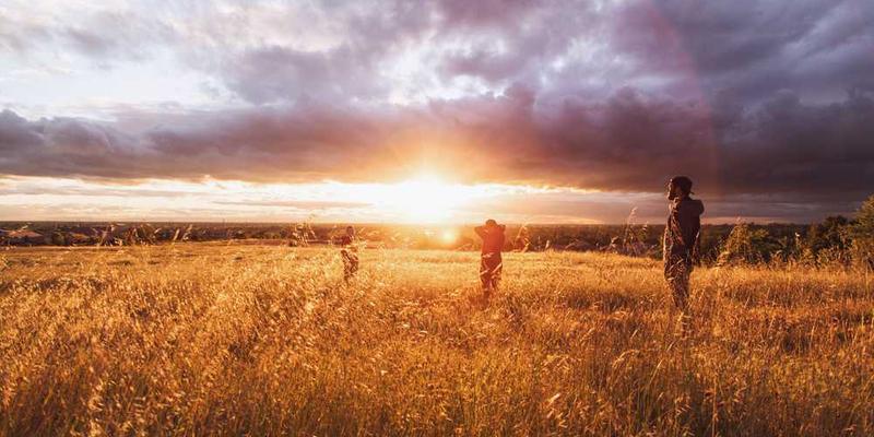说明：法律顾问在分析合同条款