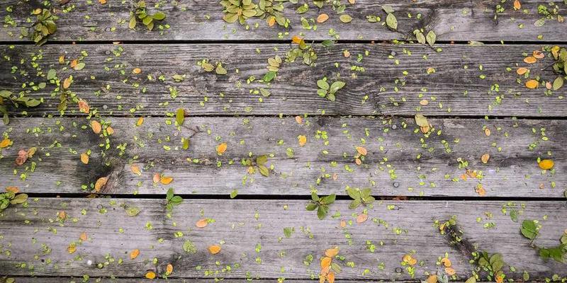 分析“个性化推荐”:算法扮演的“读心术精灵”,精准投喂你的贪婪