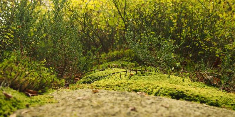 晨曦中的城市街头，人们在朝阳下忙碌，孩子们在公园玩耍，画面温馨而充满活力，体现了生活中的美好瞬间