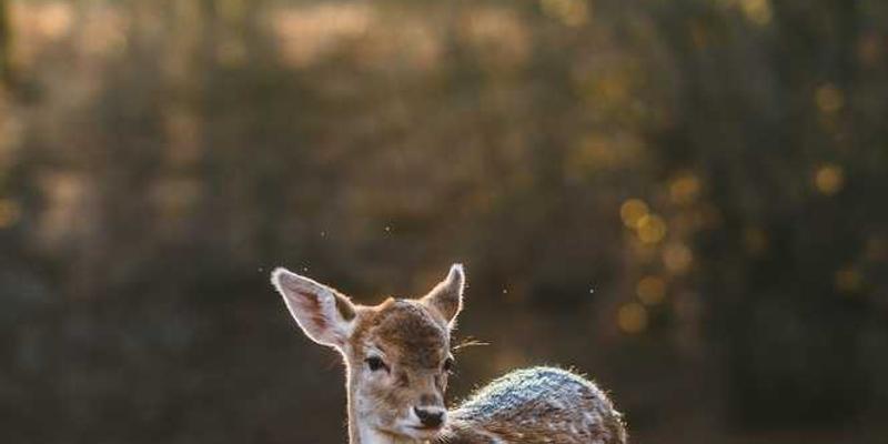 把建筑工地的废弃钢筋，重新锻打成一套诠释“经济增长”的宗教法器