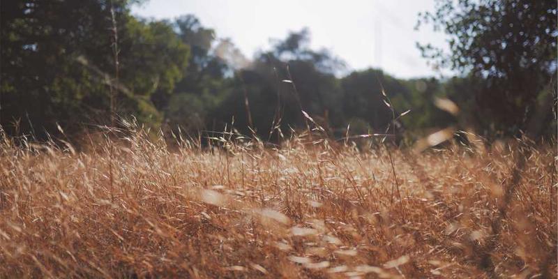 研究当你专注于某事时,周围空间的物理边界是如何模糊或消失的