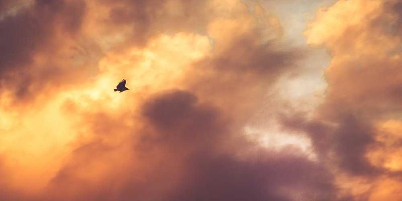 智慧宫殿的虚拟模型，展示宫殿大厅和物理学科知识空间，学习者正在操作虚拟模型进行实验。说明：这座虚拟建筑以三维立体形式呈现，让学习者在其中自由探索知识。