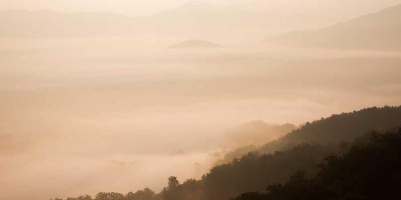 一张温馨舒适的卧室，床上铺着柔软的床单，窗帘半开着，阳光透过窗帘洒在床上，营造出一个宁静的睡眠环境。
