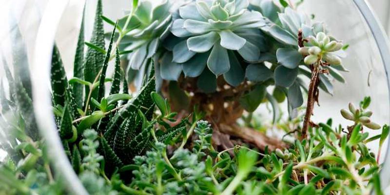 一把钥匙与一个锁孔的特写,光线从钥匙的一端照射过来,照亮锁孔的轮廓,营造出一种温馨而神秘的感觉。