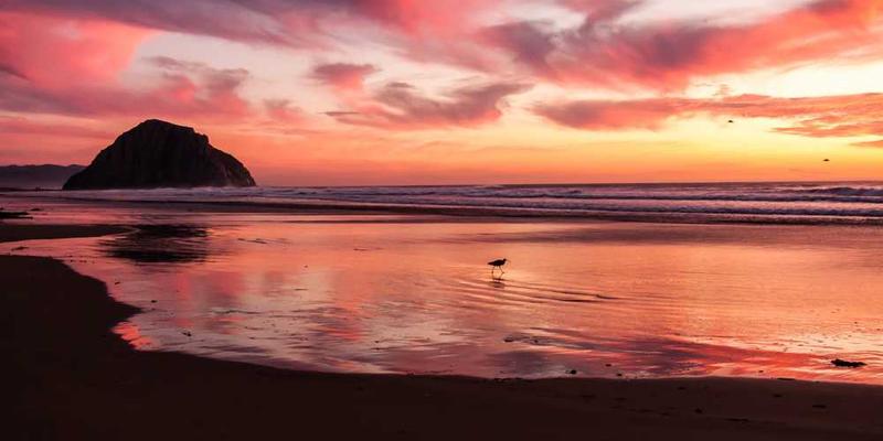 人体各个部位组成的生态系统图解