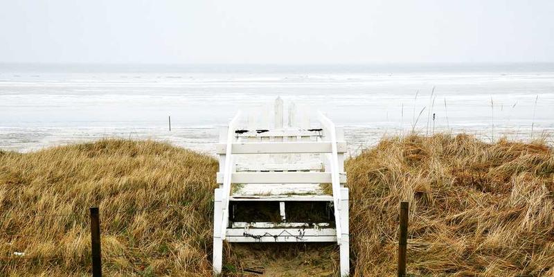 一位艺术家在城市街道上收集颜色样本的画面