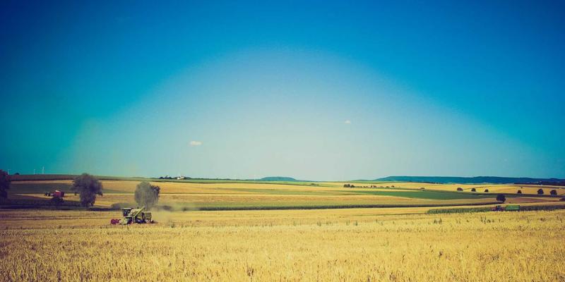 我的工作AI在深夜自动生成了一份对我工作模式的尖锐批评报告,署名是“您未被授权的直觉”。