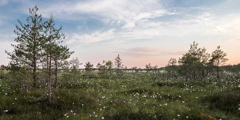 说明:一位网友在家中为报废智能手机举办葬礼,亲朋好友围坐一起,共同缅怀这部陪伴他们多年的手机。