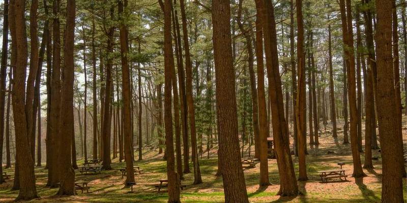 用“随机组合法”进行创意写作：三个毫不相干词的联想故事