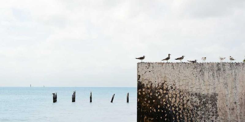 在废旧玩具中,寻找童年之神被遗弃后残存的、微弱的神力波动