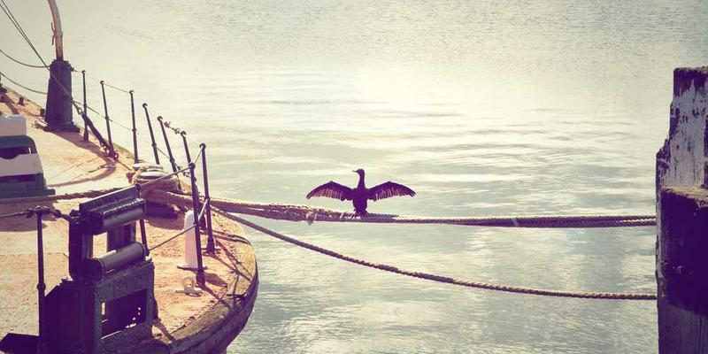 一位年轻人坐在电脑前，表情复杂地看着屏幕，背景中是各种分析数据和图表，象征着AI复盘的场景