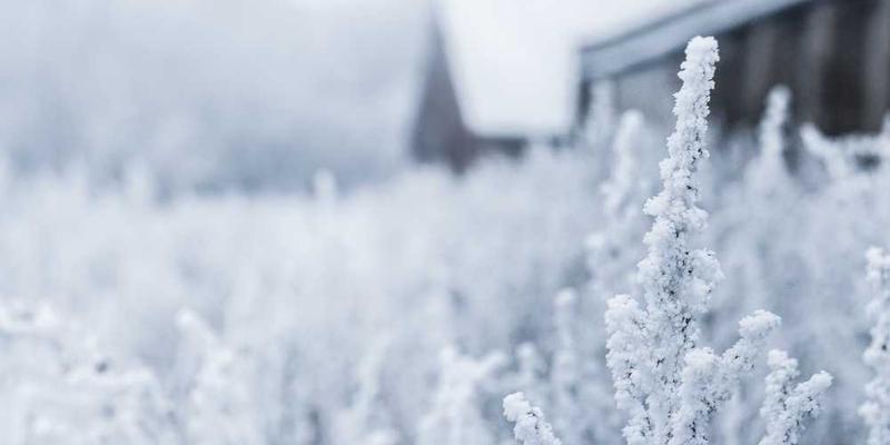 一个充满生活气息的社区街道，有菜市场、学校、医院、购物中心、公园等元素，展现出一个典型的“15分钟生活圈”社区。