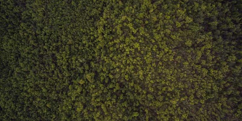 展示一位身着古代服饰的人物与一位手持智能手机的现代人物互动的场景,背景是戏剧舞台,画面呈现出古今交融的视觉效果。