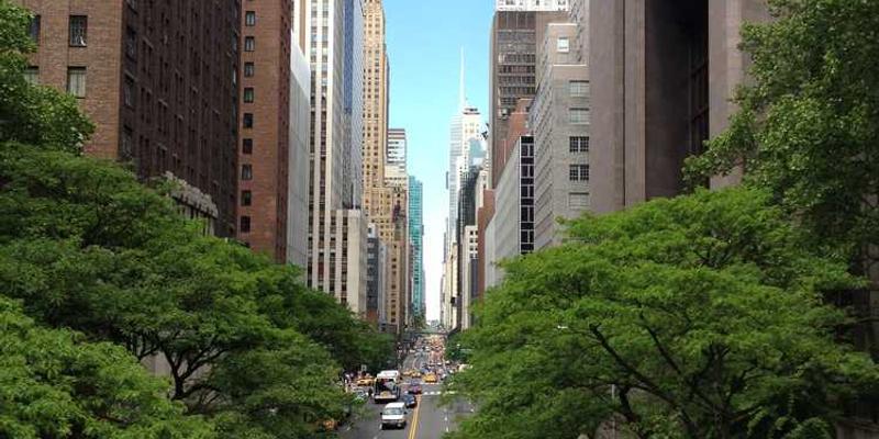 从知道到做到：跨越“知识-行动”鸿沟的3个心理工具