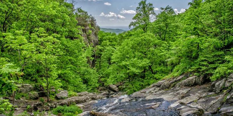 体验“并行处理”的极限:同时进行多任务时,意识如何分配“线程”