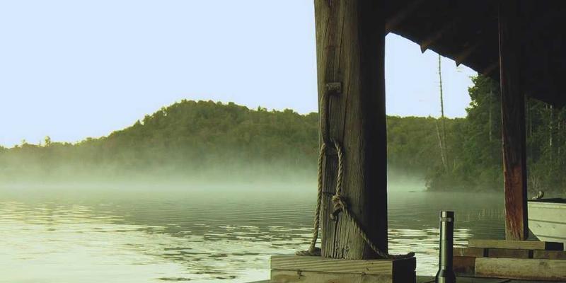 一只猫咪用鼻子轻轻拂过墙壁，胡须轻微颤动的瞬间