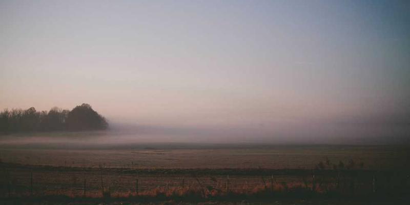 城市路灯的群体智能:它们如何接力点亮,又彼此守望沉默的夜晚?