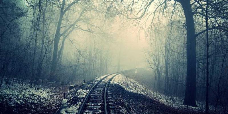 如果成为职业运动员，“我”的赛前仪式或许是对某个护膝的反复亲吻。