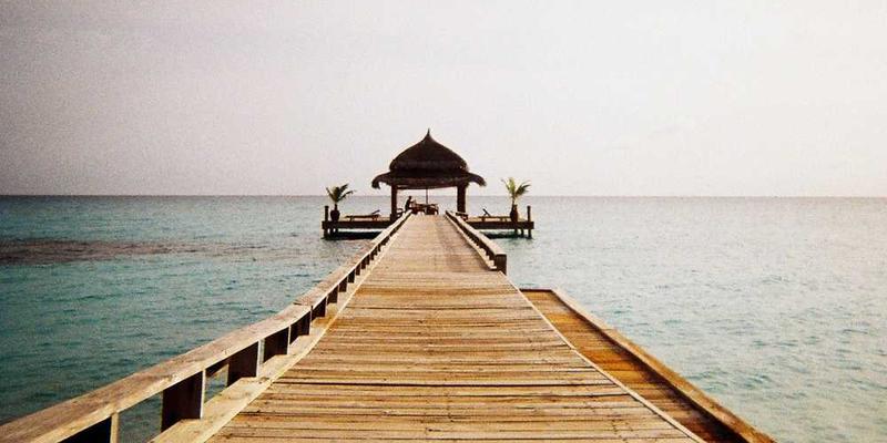 一幅描绘大脑神经网络图解的图片,展示大脑处理信息和记忆的复杂过程