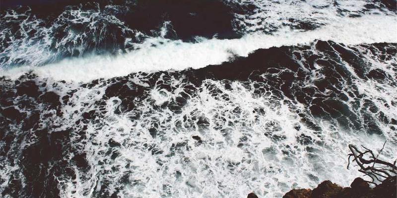 想象你的记忆宫殿不是一个静态建筑,而是一个不断生长、变形的有机体