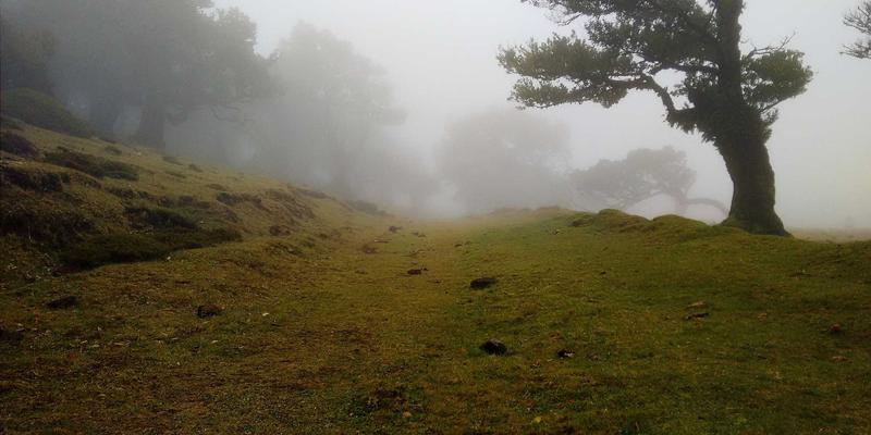 沙漠中建造巨型体育主题公园，消耗大量稀缺水资源，仅服务于少数富裕游客。