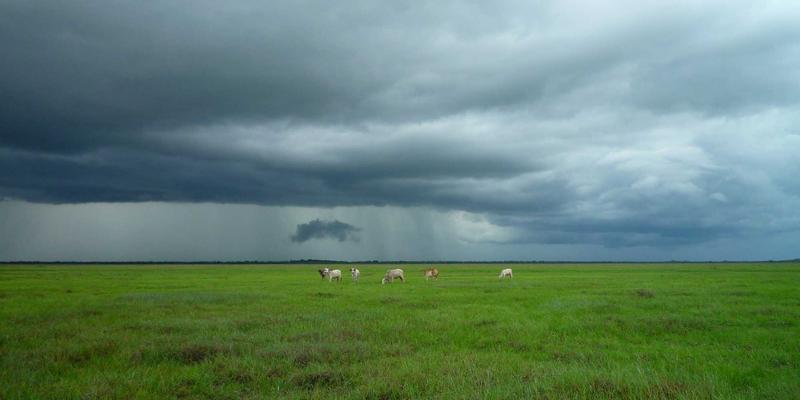 说明：一位运动员在比赛中受伤，接受队医的治疗。