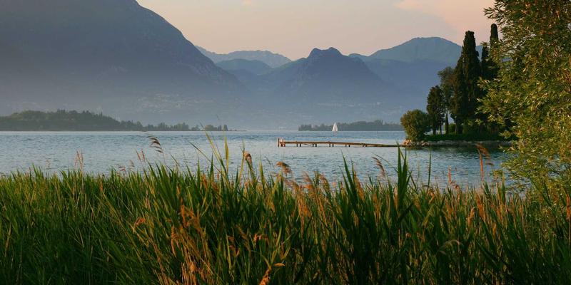 职业电竞战队强迫选手签订“直播约”，直播收入大头归俱乐部，训练时间被严重侵占。