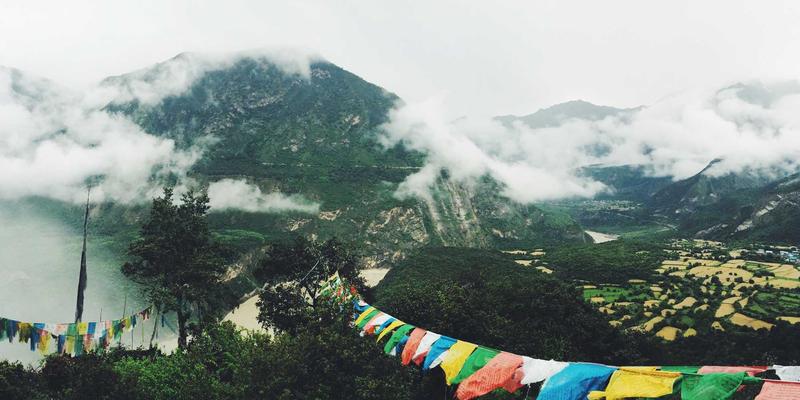 网络直播平台利用算法，将流量集中引导至有博彩背景或特定金主支持的直播间。