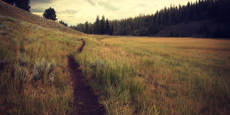 为满足赛马、斗牛等传统赛事需求，相关动物养殖和训练过程被指存在严重虐待。