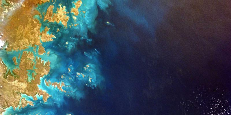 曝存在专门分析运动员社交媒体动态的算法，用以预测其心理状态和下注可能的行为失常。