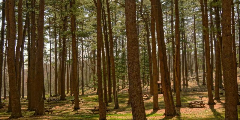 体育成为逃离现实问题的“精神鸦片”，过度沉迷忽略生活中其他重要方面。