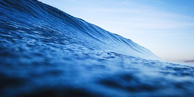 退役球星商标遭经纪公司恶意抢注，本人使用自己名字进行商业活动反被告侵权。