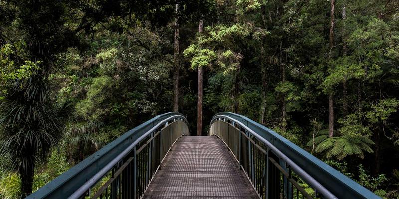 体育知识产权与法律漏洞